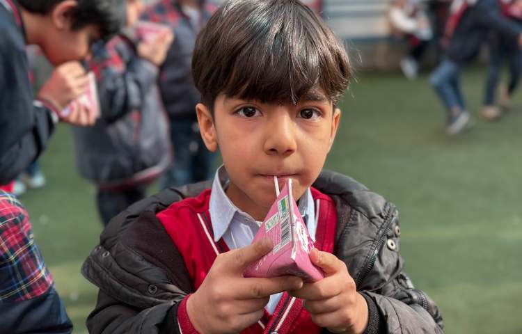 میان وعده دی ماه 7