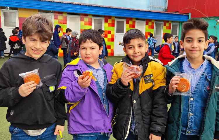 میان وعده دی ماه 8