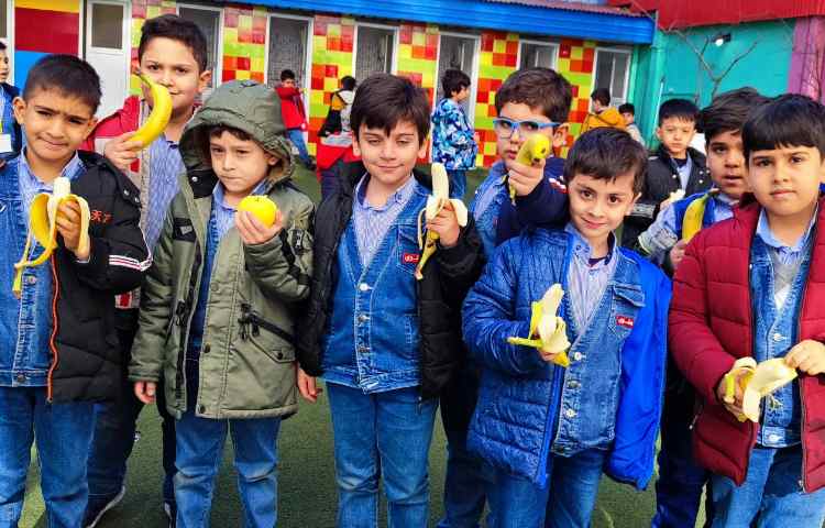 میان وعده دی ماه