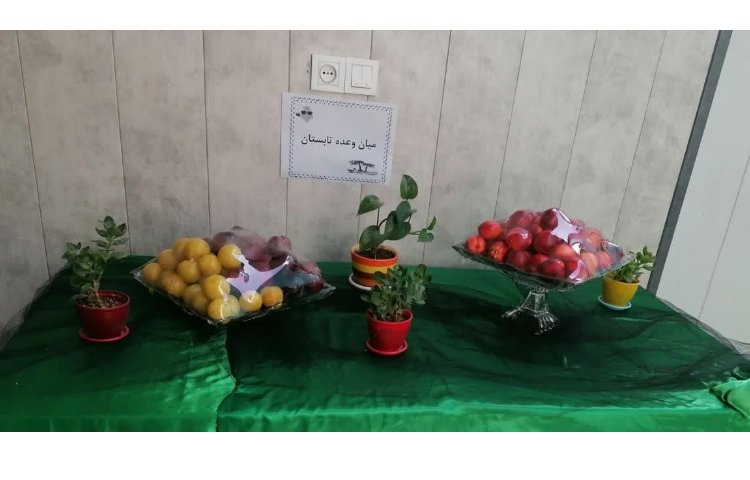 میان وعده روزانه فعالیت های تابستان 2