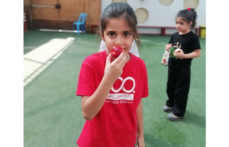 میان وعده روزانه فعالیت های تابستان 3