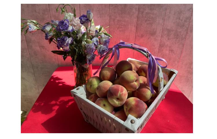 میان وعده سالم برای دختران علوی 5