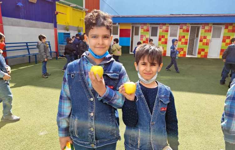 :میان وعده سالم و خوشمزه 1