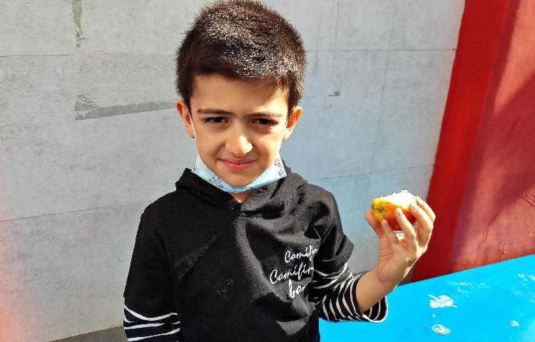 :میان وعده سالم و خوشمزه 10