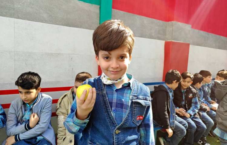 :میان وعده سالم و خوشمزه 10