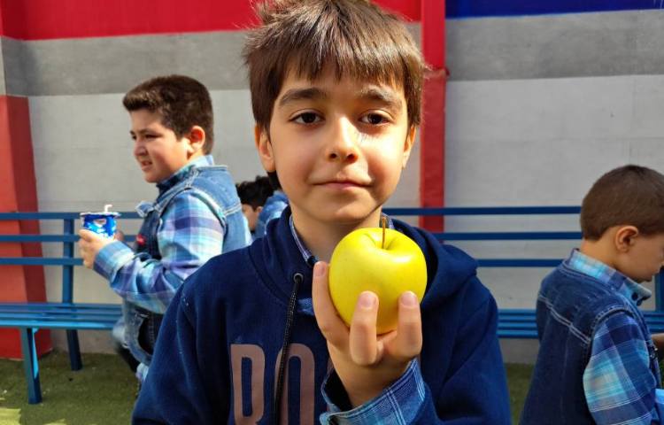 :میان وعده سالم و خوشمزه 11