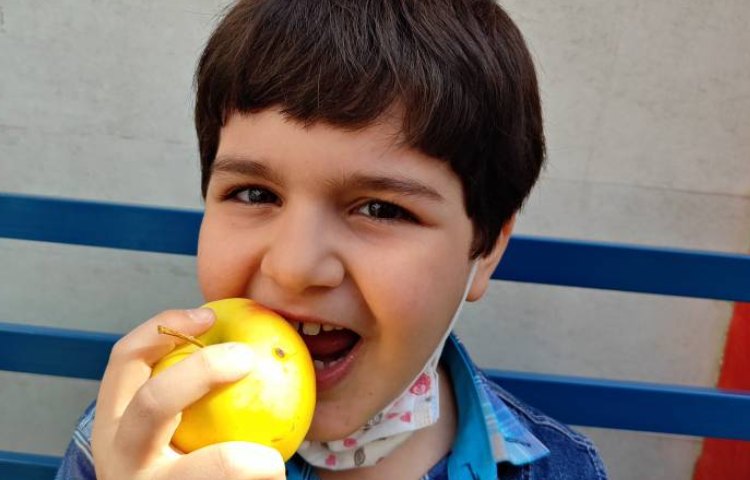 :میان وعده سالم و خوشمزه 12