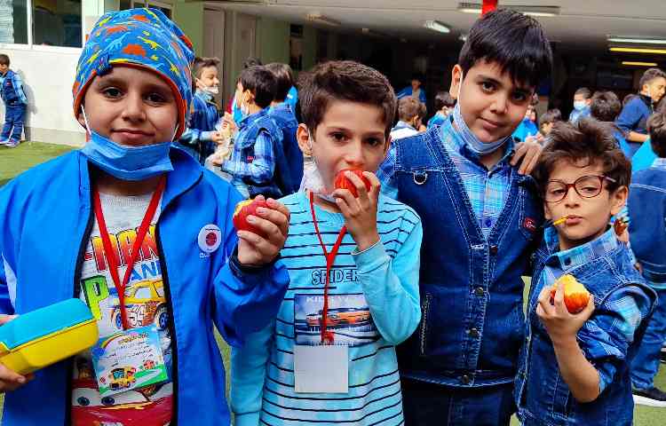 :میان وعده سالم و خوشمزه 2