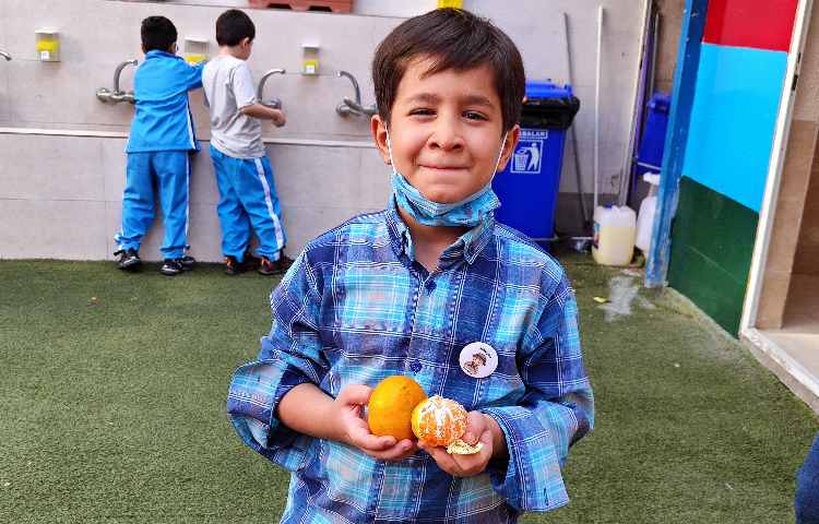 :میان وعده سالم و خوشمزه 2