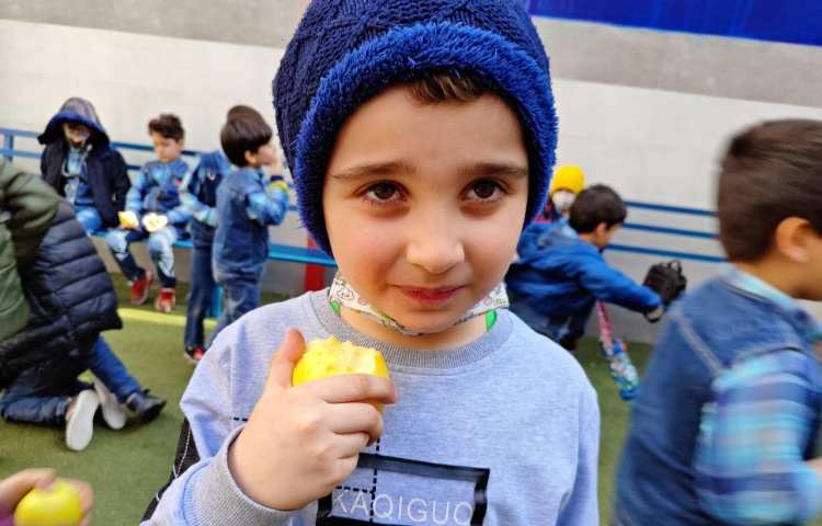 :میان وعده سالم و خوشمزه 2