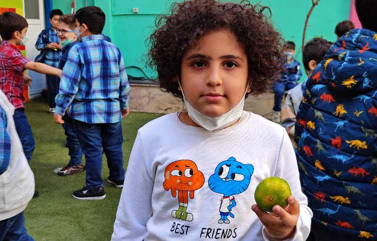 :میان وعده سالم و خوشمزه 4