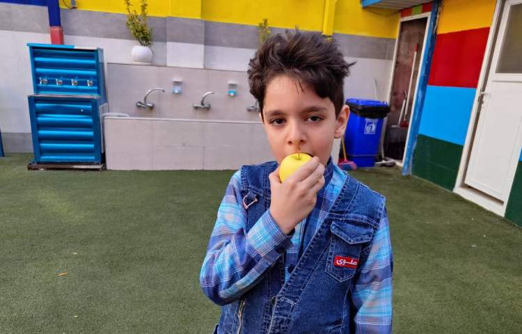 :میان وعده سالم و خوشمزه 4