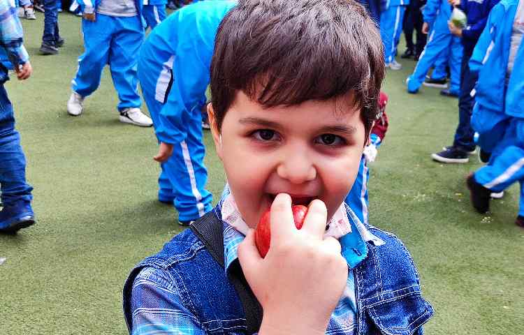 :میان وعده سالم و خوشمزه 5