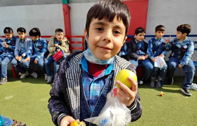 :میان وعده سالم و خوشمزه 5