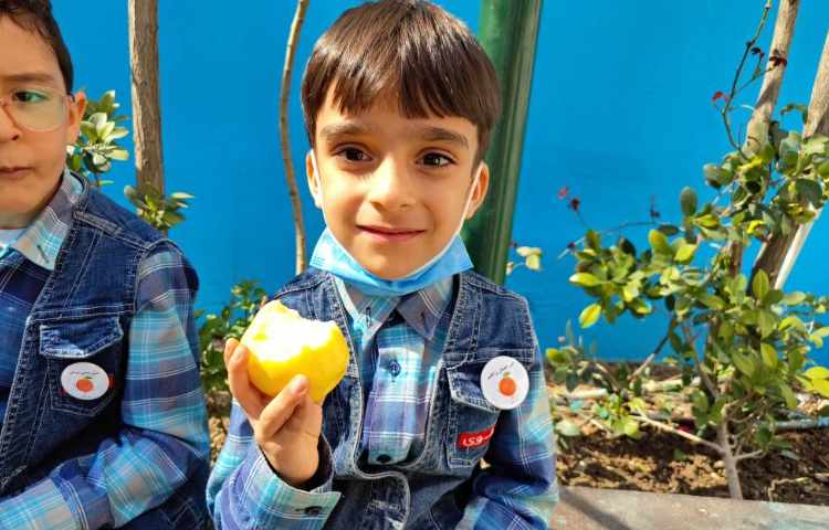 :میان وعده سالم و خوشمزه 6