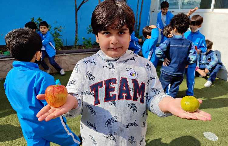 :میان وعده سالم و خوشمزه 9