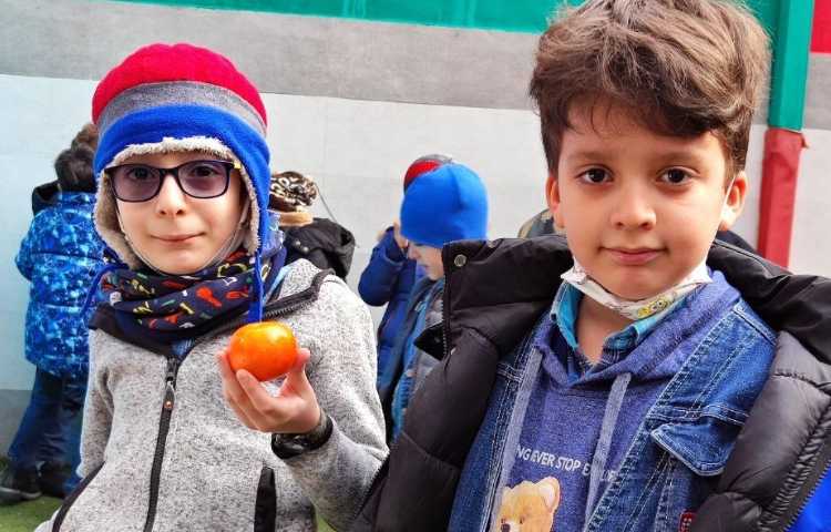 :میان وعده سالم 1