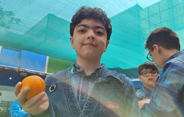 :میان وعده سالم 1