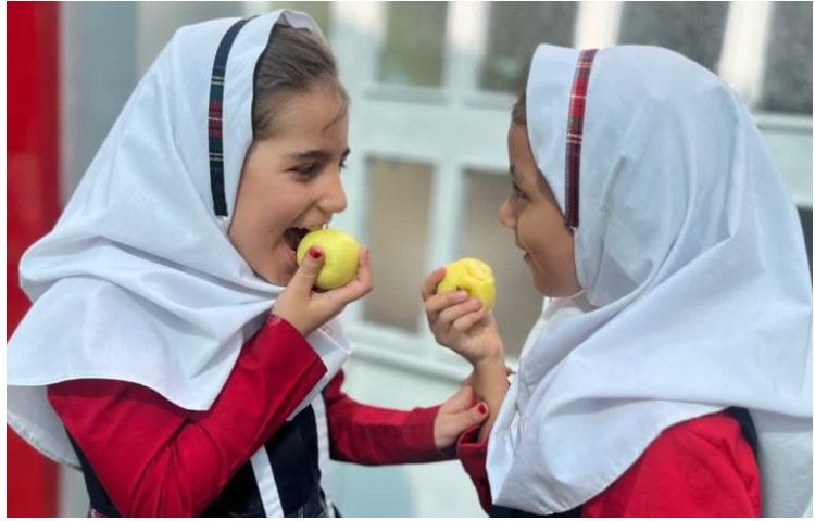 میان وعده سالم 1