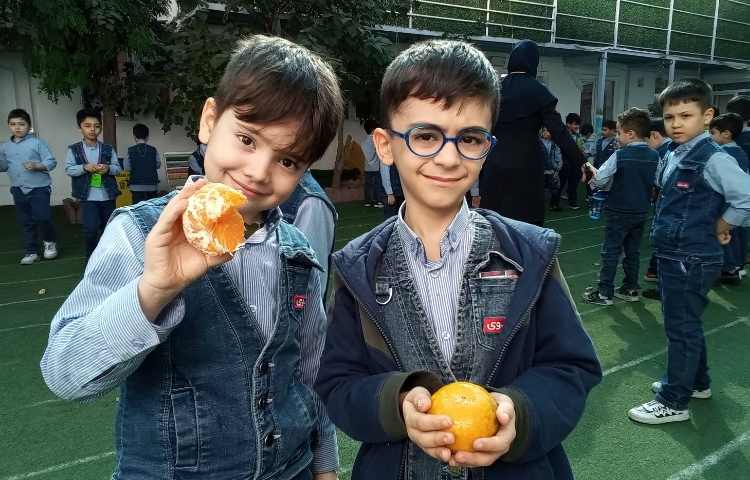 میان وعده سالم 1