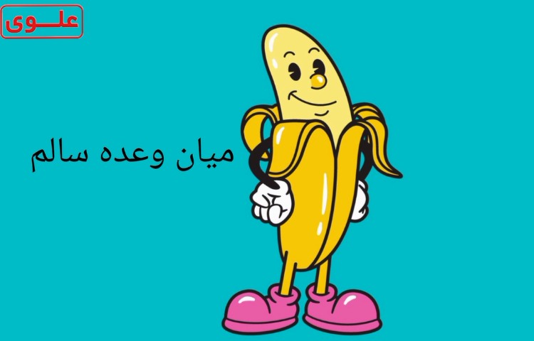 میان وعده سالم 1