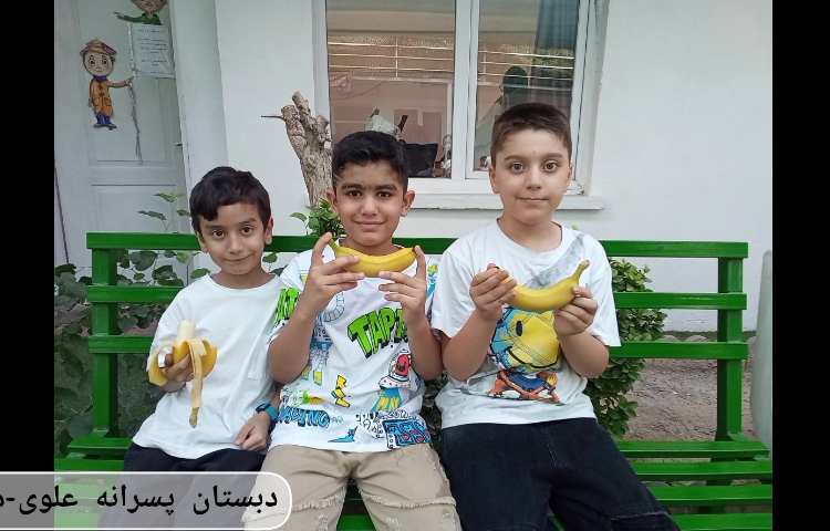 میان وعده سالم 1