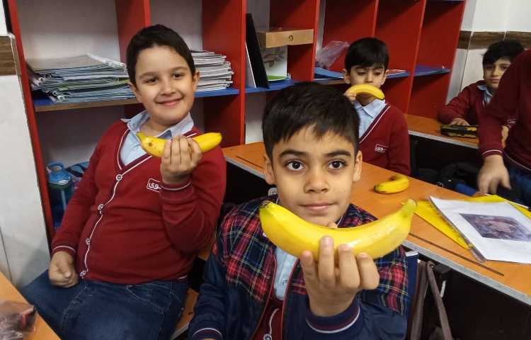 میان وعده سالم 1