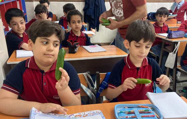 میان وعده سالم 1