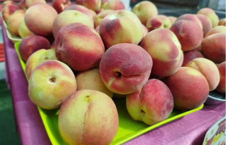 میان وعده سالم 1