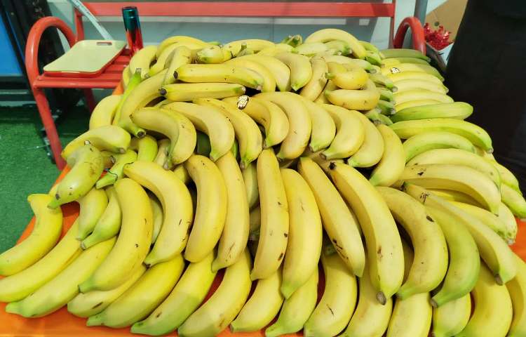 میان وعده سالم 1