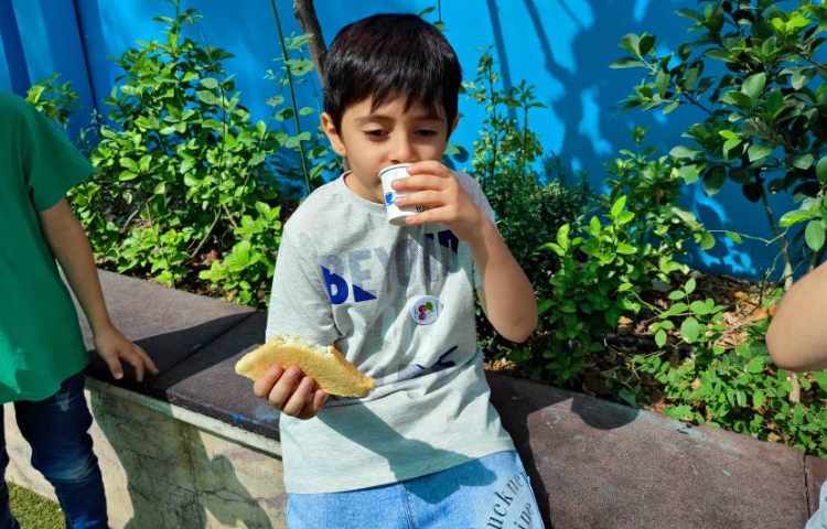 :میان وعده سالم 15