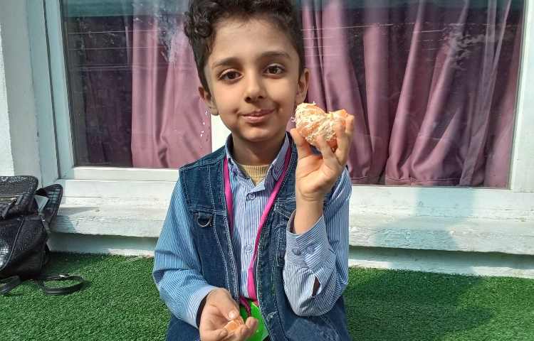 میان وعده سالم 2