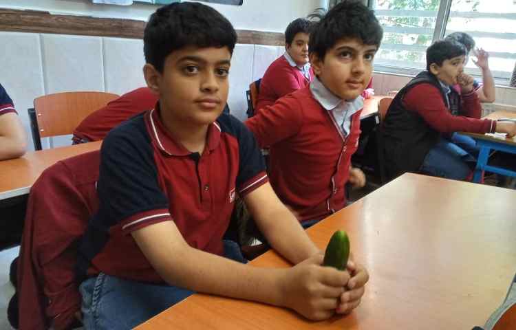 میان وعده سالم 2