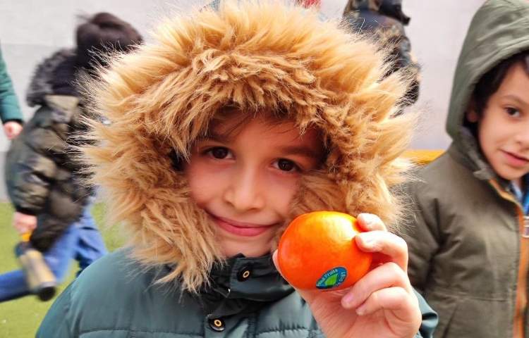 :میان وعده سالم 3