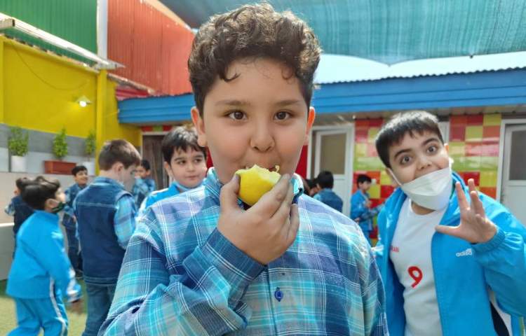 :میان وعده سالم 3