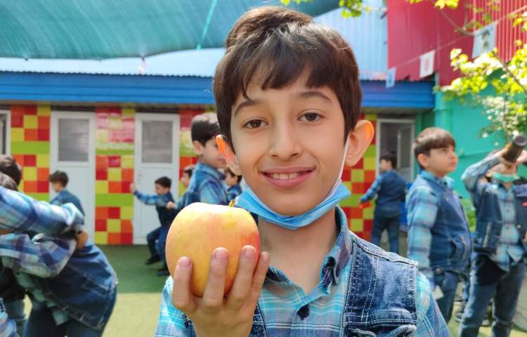 :میان وعده سالم 3