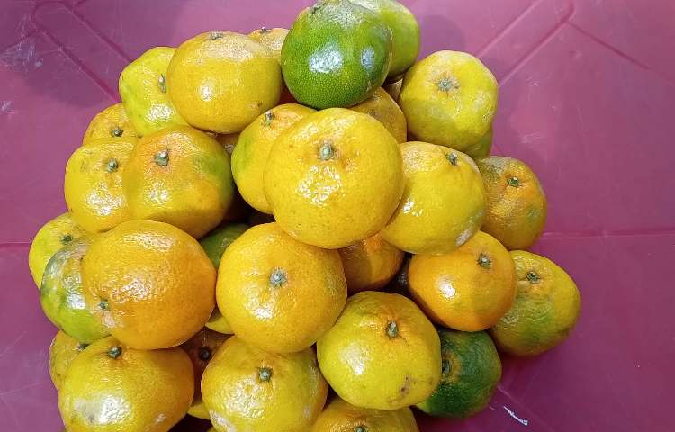 میان وعده سالم 3