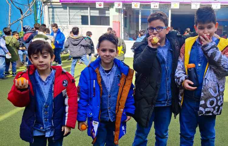 میان وعده سالم 3