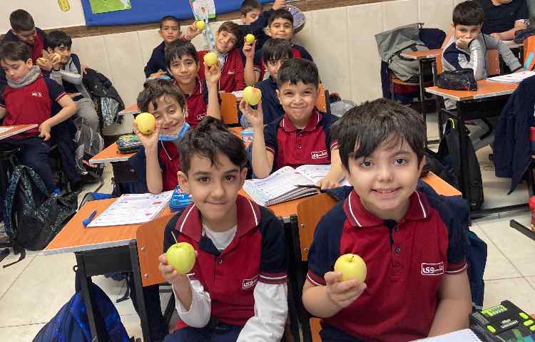 میان وعده سالم 3