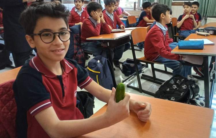 میان وعده سالم 3