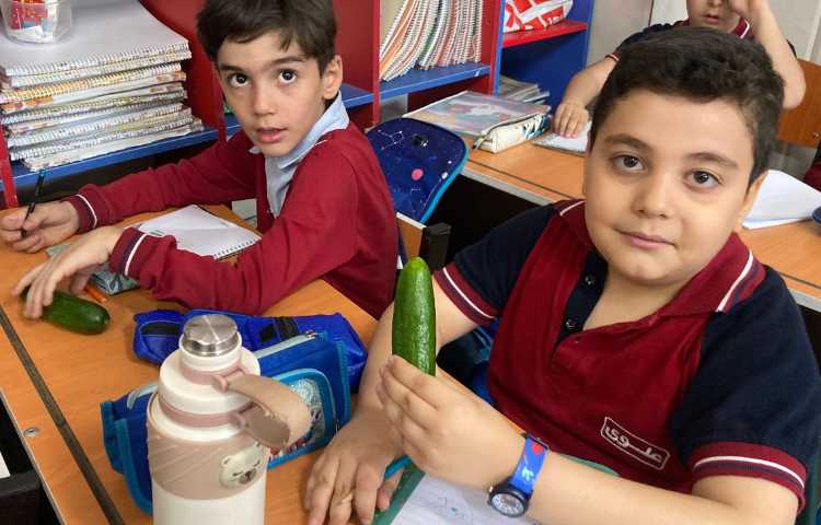 میان وعده سالم 3