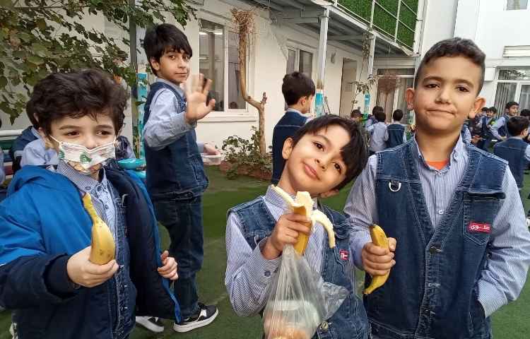 میان وعده سالم 4