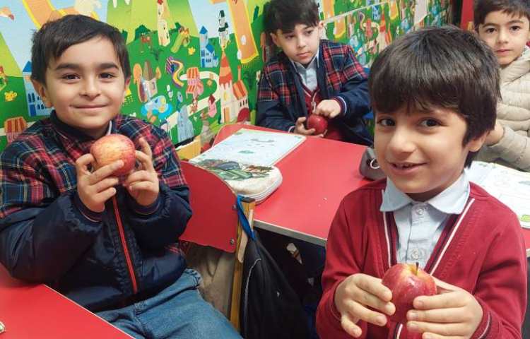 میان وعده سالم 4