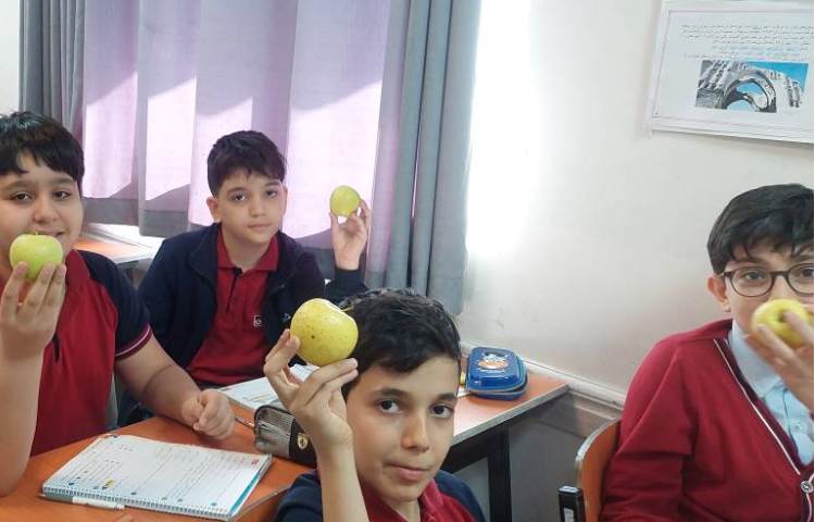 میان وعده سالم 4