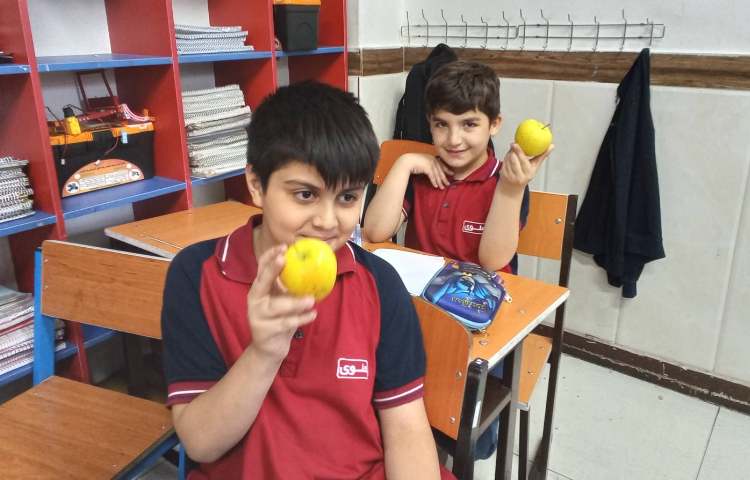 میان وعده سالم 4