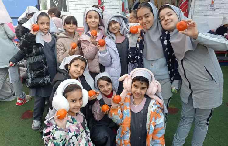 میان وعده سالم 4