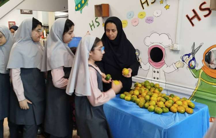 میان وعده سالم 4
