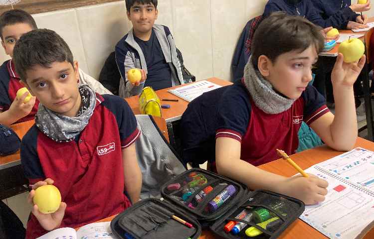 میان وعده سالم 5