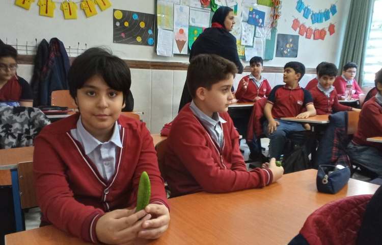 میان وعده سالم 5