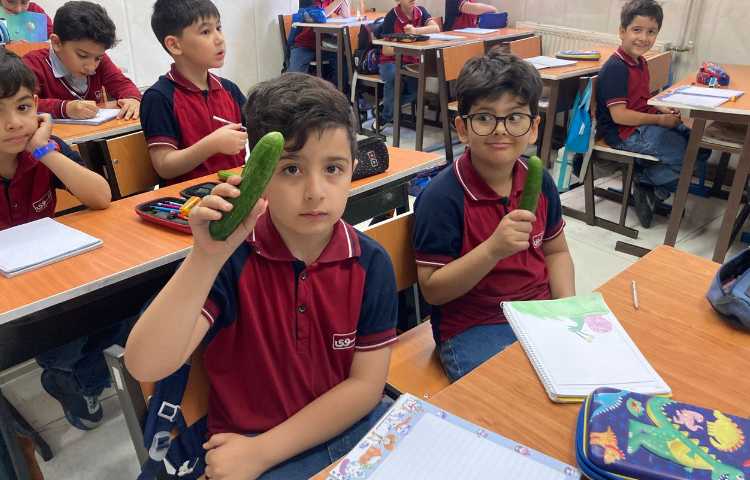 میان وعده سالم 5